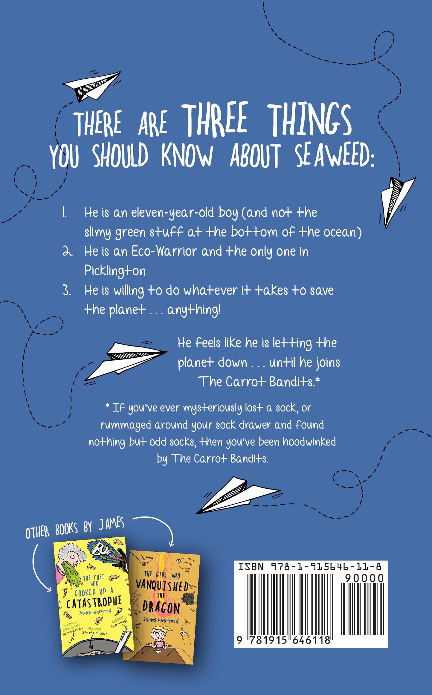 The Boy Who Stole One Million Socks