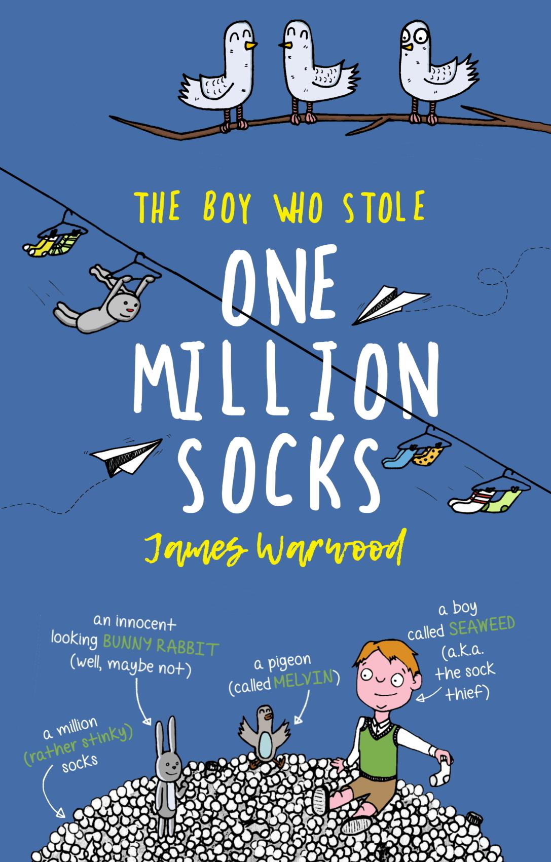 The Boy Who Stole One Million Socks