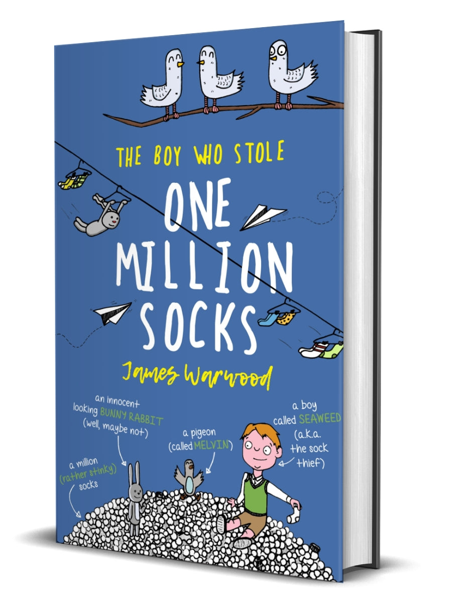 The Boy Who Stole One Million Socks