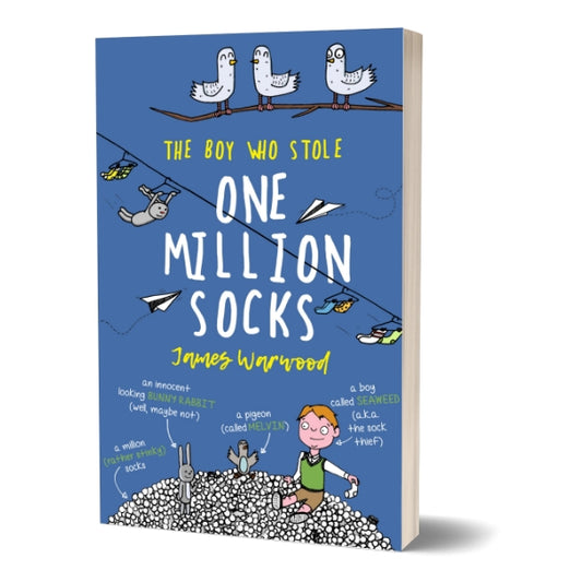 The Boy Who Stole One Million Socks