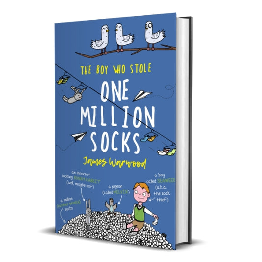 The Boy Who Stole One Million Socks