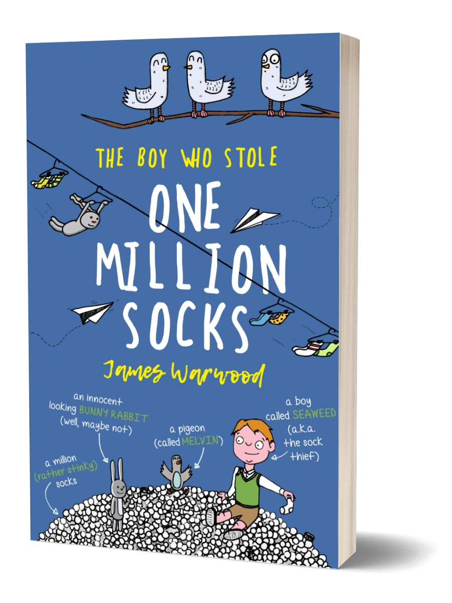 The Boy Who Stole One Million Socks